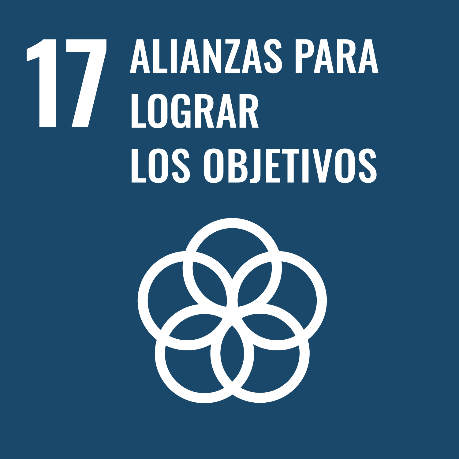 Alianzas para Lograr los Objetivos